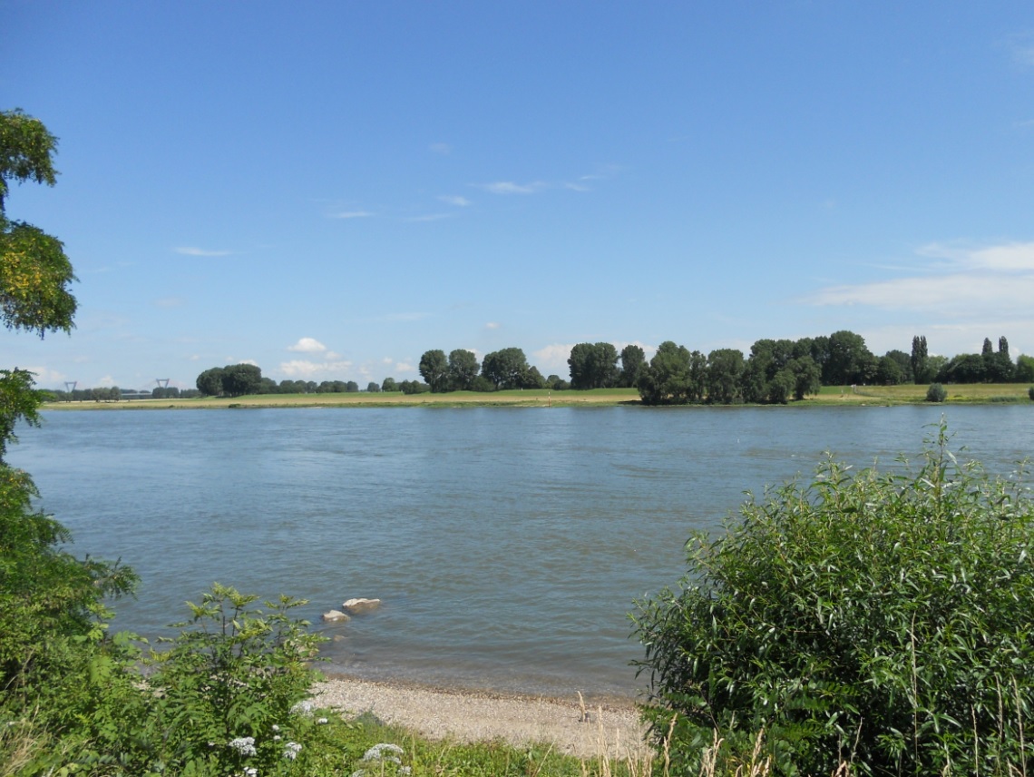 Natur am Rhein genießen